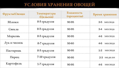 Условия хранения овощей Условия хранения овощей