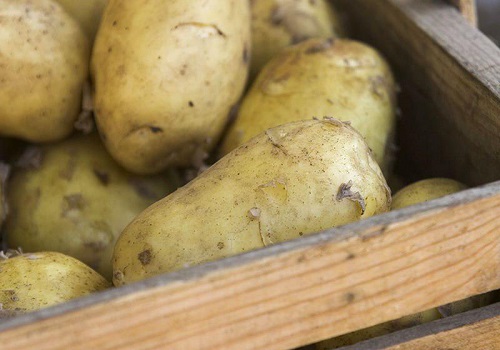 Кладовая в частном доме своими руками Кладовая в частном доме своими руками